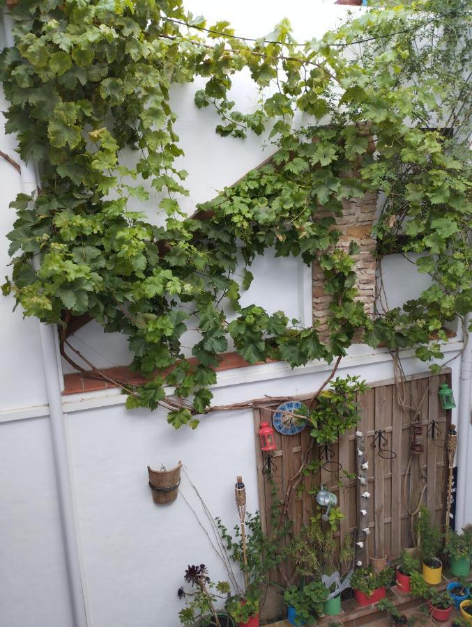 Apartamento Eg17 Arcos de la Frontera Buitenkant foto